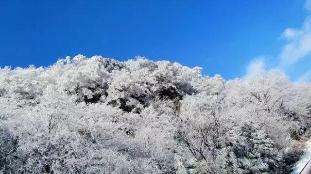 逃出林中村